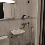 Merikotka Kotka