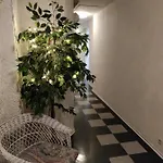 Merikotka Kotka