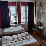 Merikotka Kotka