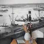 Merikotka *