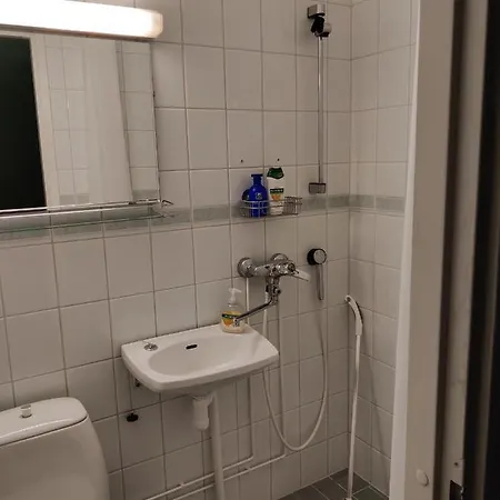 Merikotka Kotka