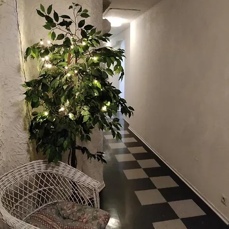 Merikotka Kotka