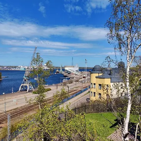 Merikotka *